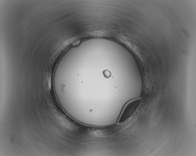 X0000112170062200908211435