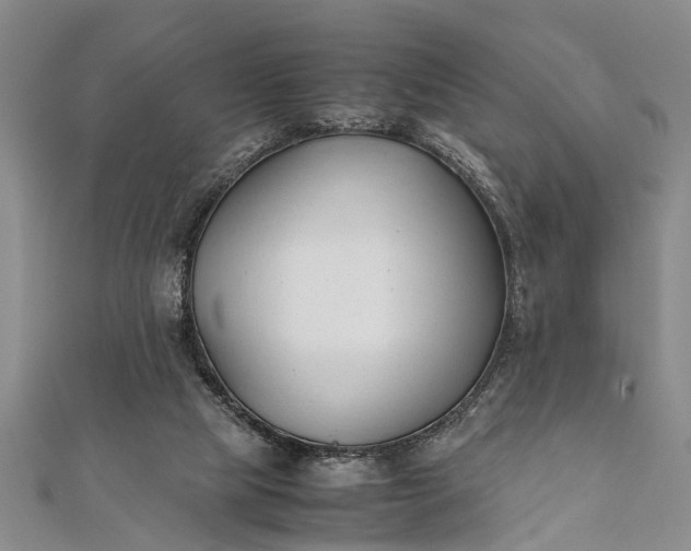 X0000112170065200908211435