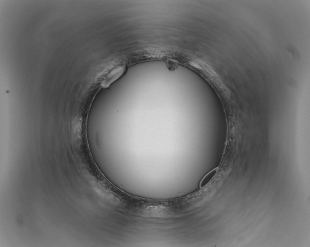 X0000112170066200908211435