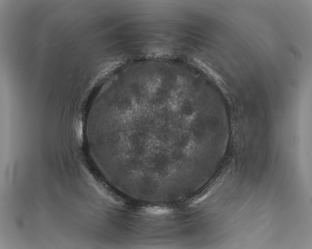 X0000112170067200908211435