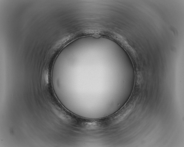 X0000112170068200908211435