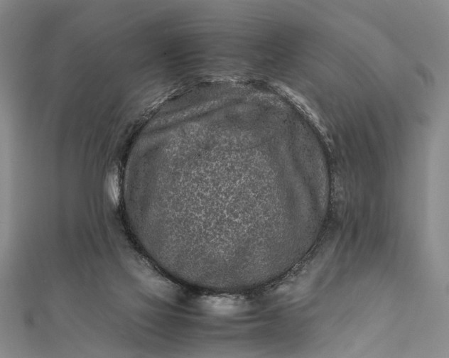 X0000112170069200908211435