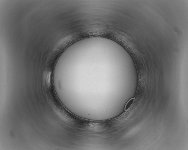 X0000112170070200908211435