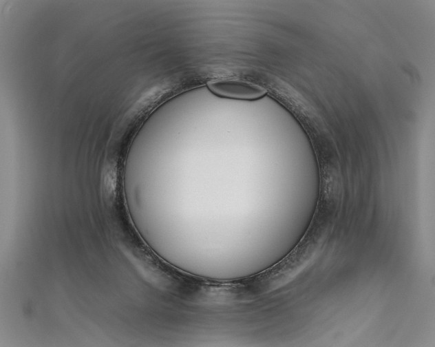 X0000112170072200908211435