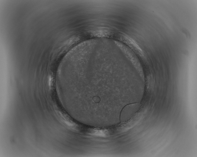 X0000112170073200908211435