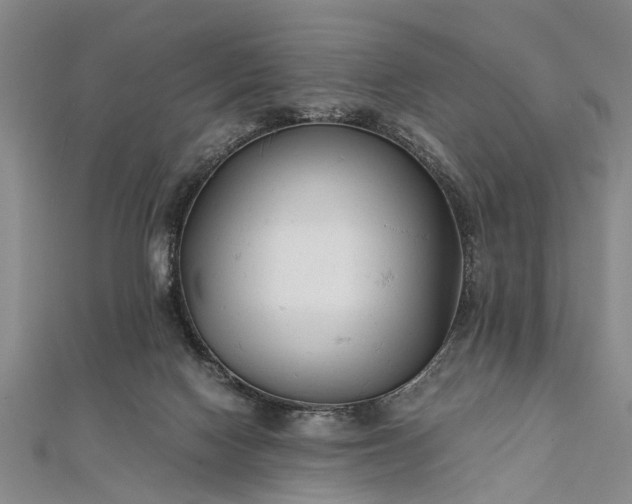 X0000112170074200908211435