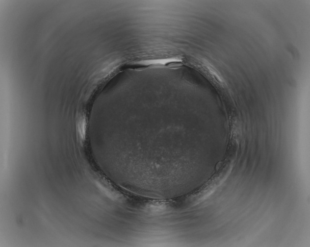 X0000112170076200908211435