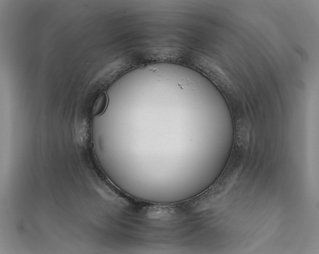 X0000112170077200908211435