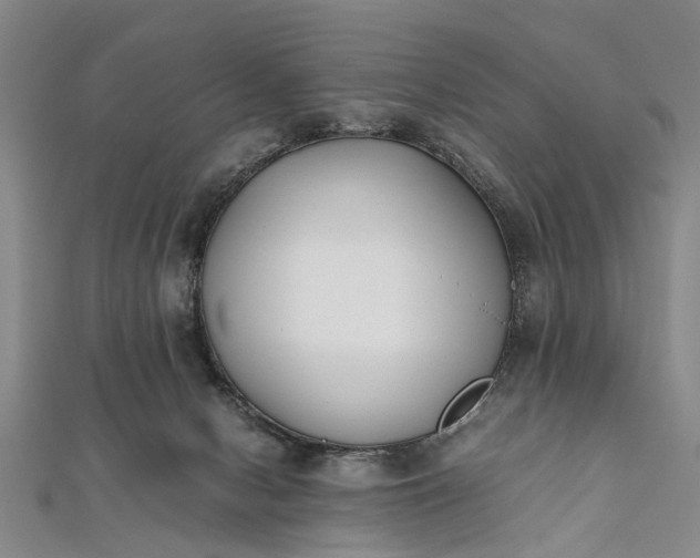 X0000112170078200908211435