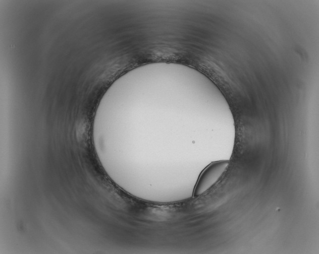 X0000112170079200908211435