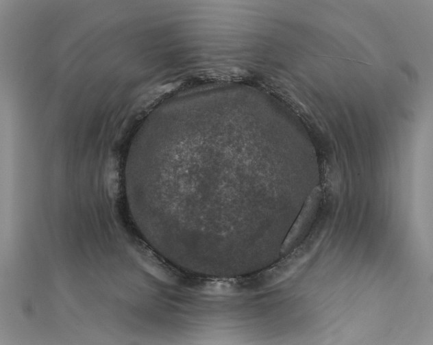 X0000112170080200908211435