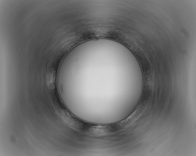 X0000112170082200908211435