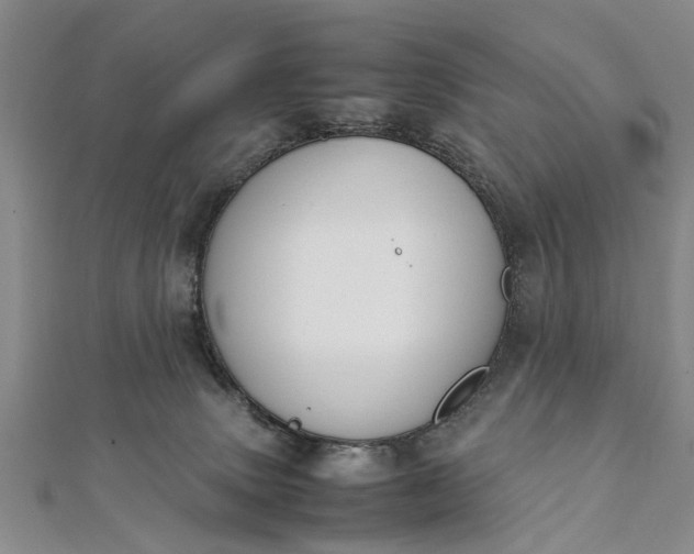 X0000112170083200908211435