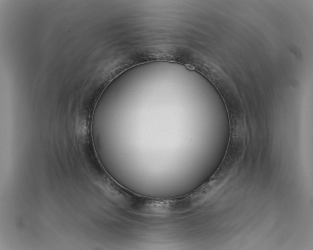 X0000112170084200908211436