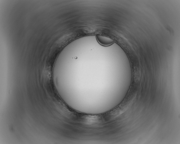 X0000112170085200908211436