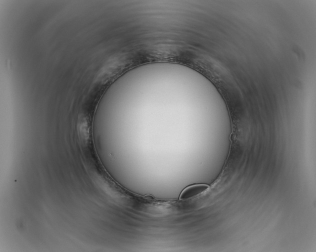 X0000112170086200908211436