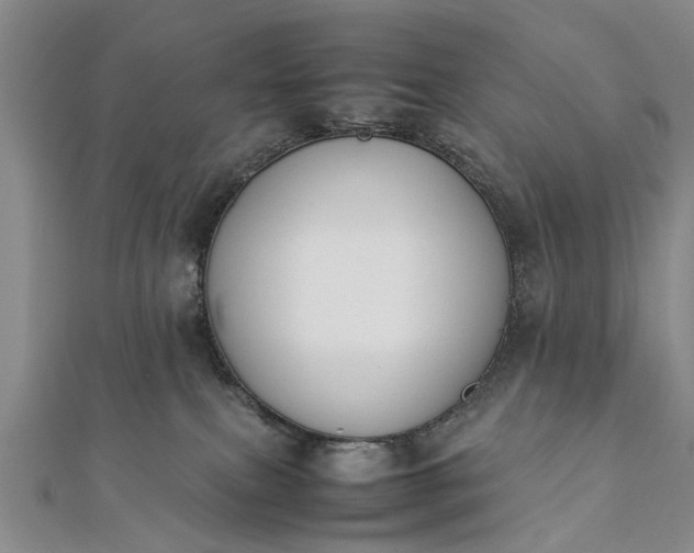 X0000112170087200908211436