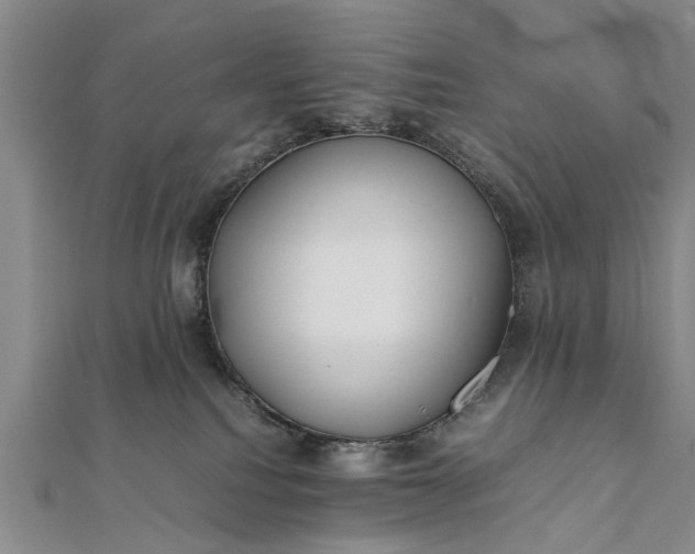 X0000112170088200908211436