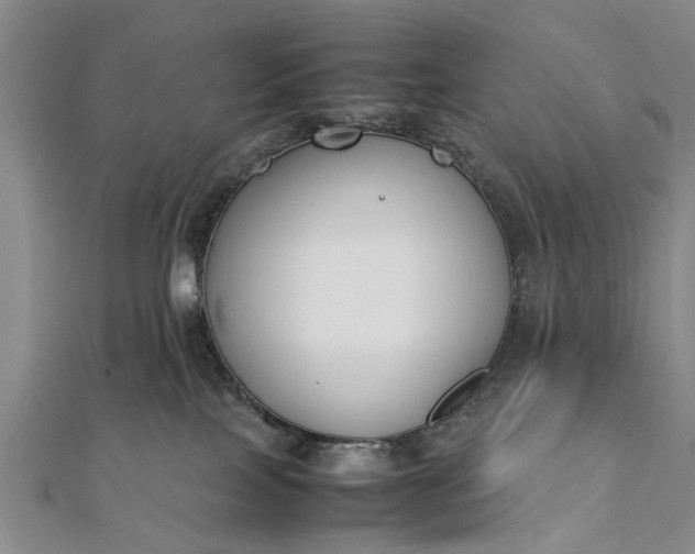 X0000112170089200908211436