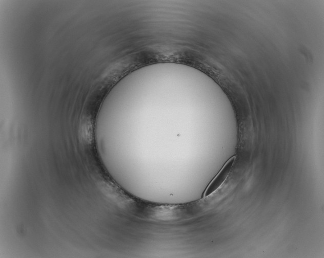 X0000112170090200908211436