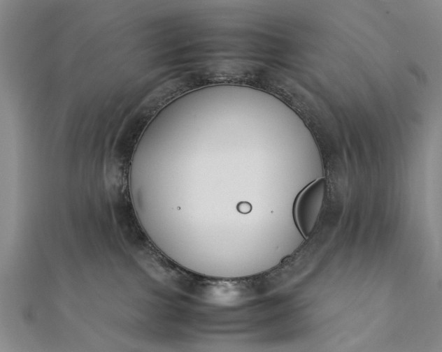 X0000112170091200908211436