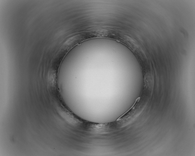 X0000112170092200908211436