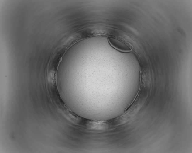 X0000112170093200908211436