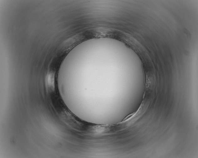 X0000112170094200908211436