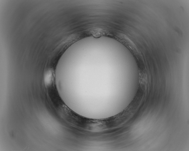 X0000112170095200908211436