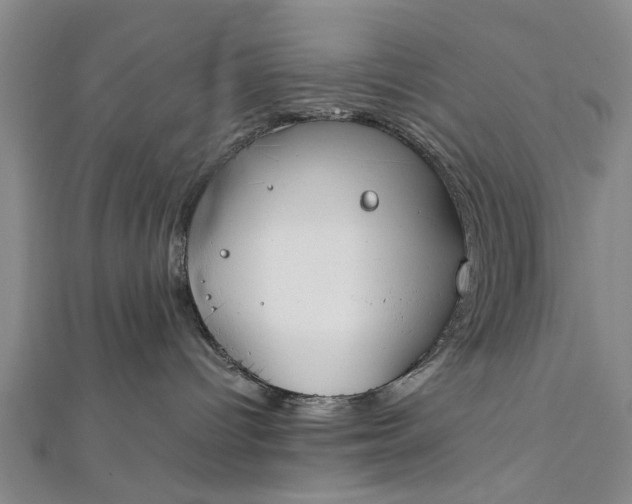 X0000112170096200908211436