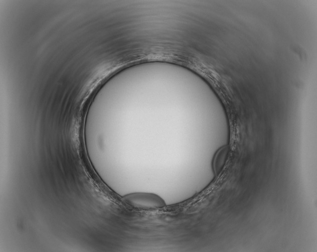 X0000112170098200908211435