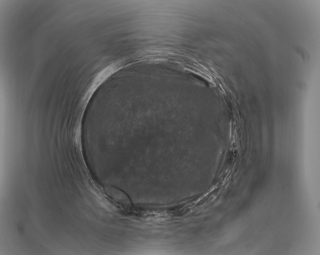 X0000112170099200908211435