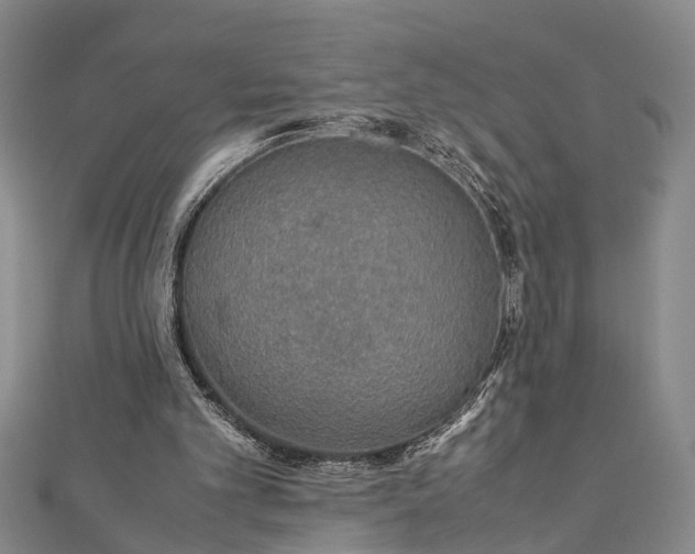 X0000112170101200908211435