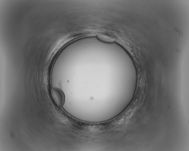 X0000112170103200908211435