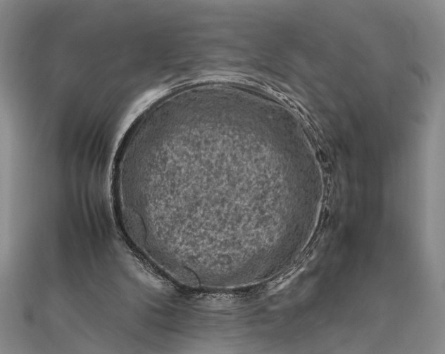 X0000112170104200908211435