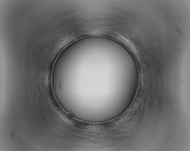 X0000112170105200908211435