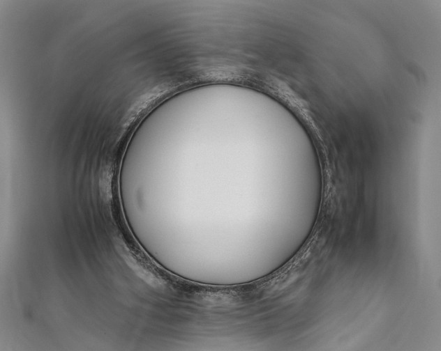 X0000112170106200908211435