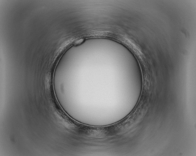 X0000112170107200908211435