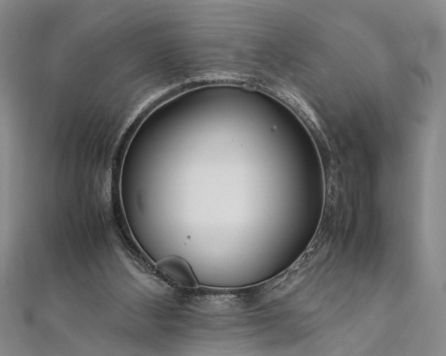 X0000112170108200908211435