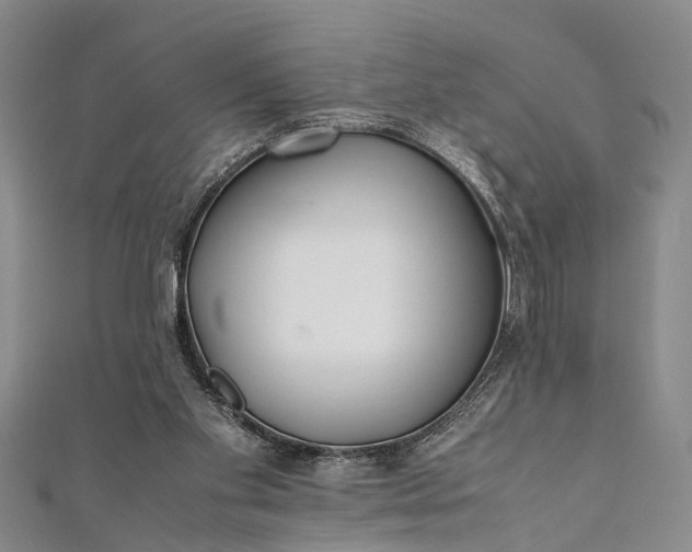 X0000112170109200908211435