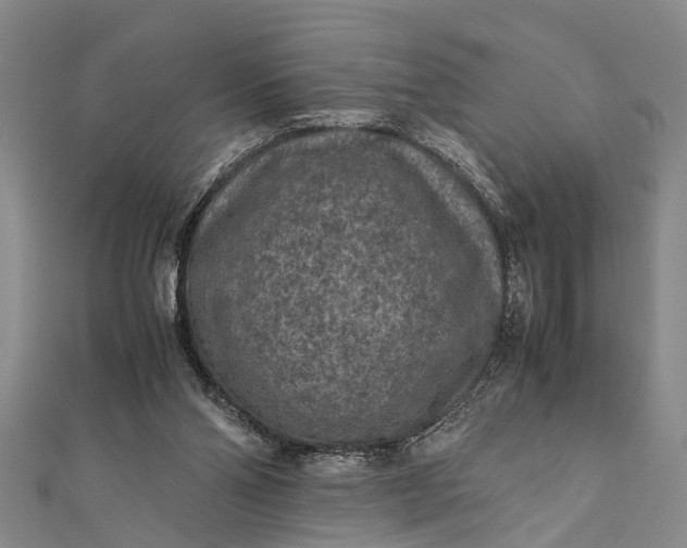 X0000112170110200908211435