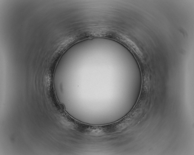 X0000112170113200908211435