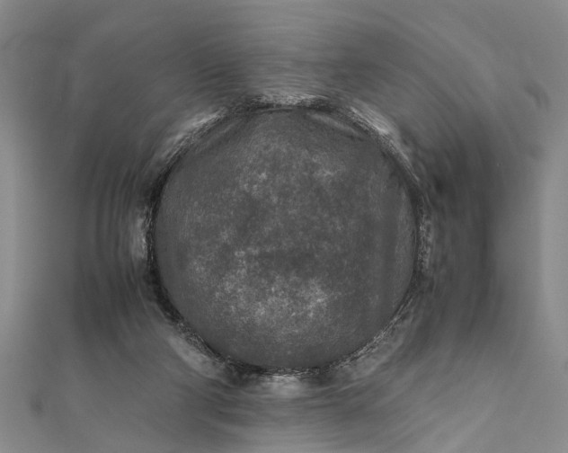 X0000112170114200908211435