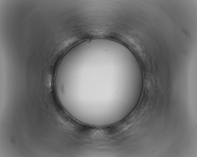 X0000112170115200908211435