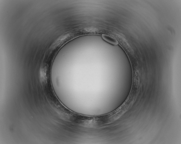 X0000112170116200908211435