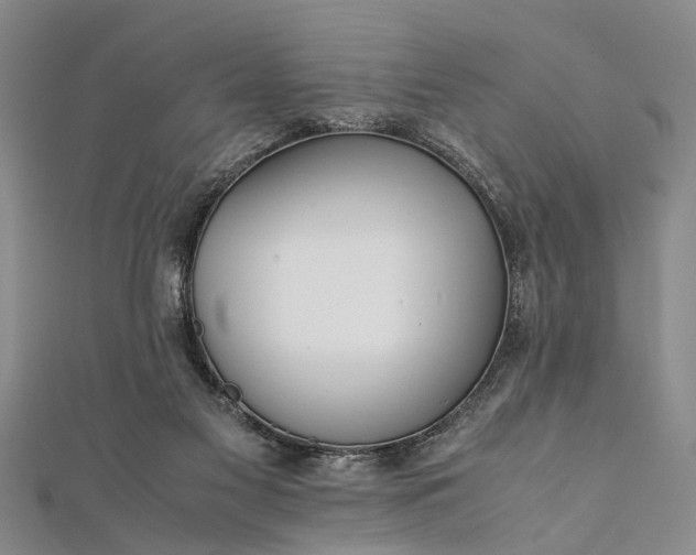 X0000112170117200908211435