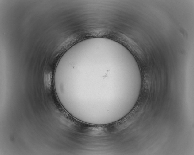 X0000112170118200908211435