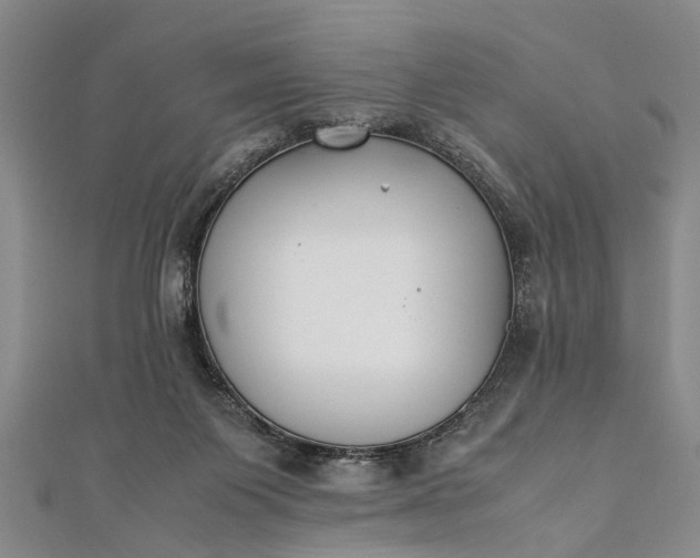 X0000112170119200908211435