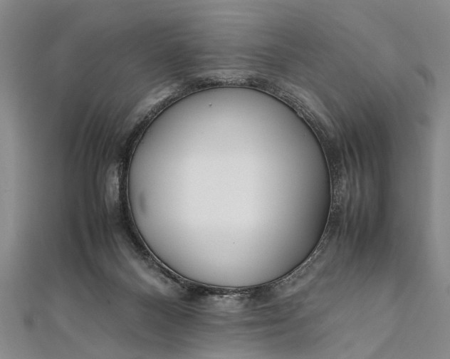 X0000112170120200908211435