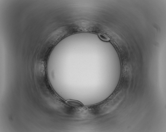 X0000112170121200908211435